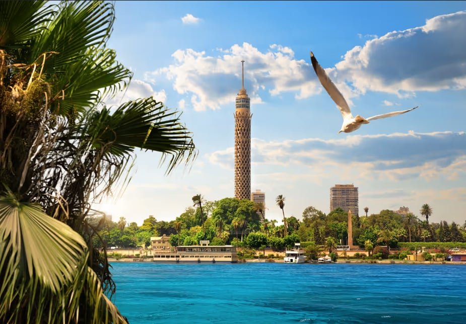 Free Day in Cairo